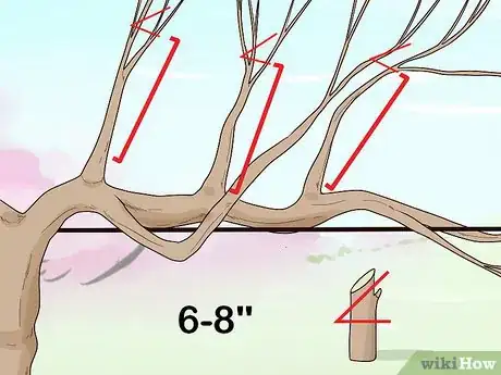 Image titled Prune Vines Step 13