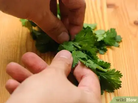 Image titled Freeze Cilantro Step 6
