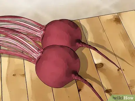 Image titled Choose Beetroot Step 1