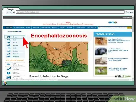 Image titled Treat Encephalitozoonosis in Dogs Step 1