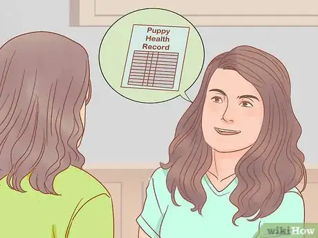 Image titled Buy a Golden Retriever Puppy Step 8