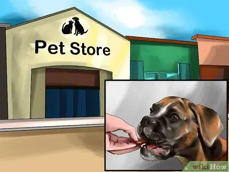 Image titled Housebreak a Dog with Positive Reinforcement Step 2