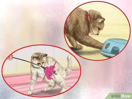 Image titled Make Your House a Better Place for Animals Step 12