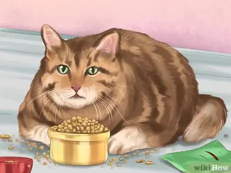 Image titled Keep Your Dog or Cat at Its Correct Weight Step 9