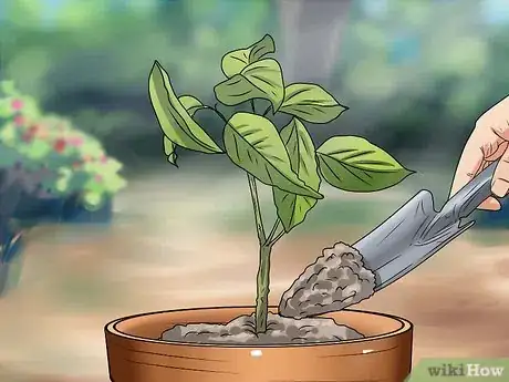 Image titled Plant Step 16