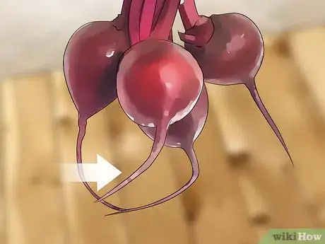 Image titled Choose Beetroot Step 7