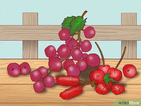 Image titled Find Safe Vegetables and Fruit for Horses Step 1