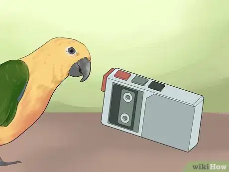 Image titled Teach a Conure to Talk Step 10
