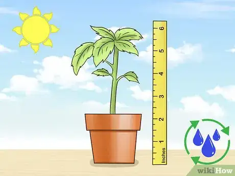 Image titled Grow Tomatoes Upside Down Step 7