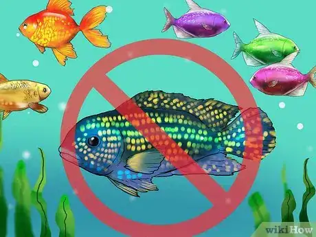 Image titled Choose Fish for a Freshwater Aquarium Step 6