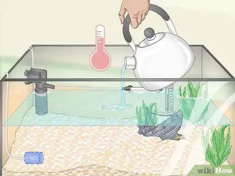 Image titled Build a Freshwater Predator Fish Aquarium Step 7