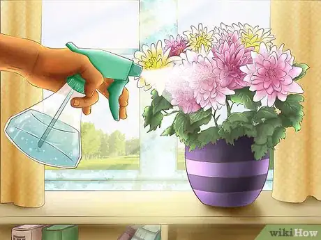 Image titled Select Blooming Houseplants Step 3