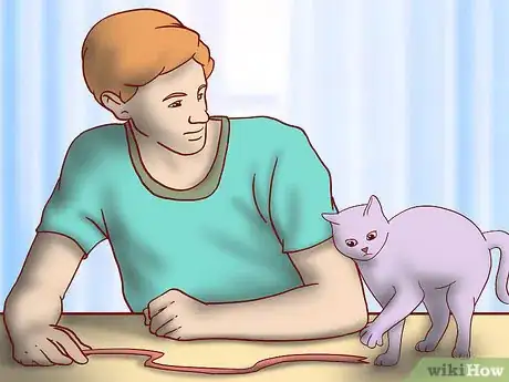 Image titled Choose Toys for a Senior Cat Step 8