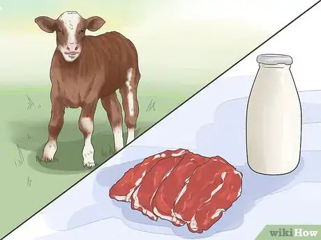 Image titled Raise Calves Step 1