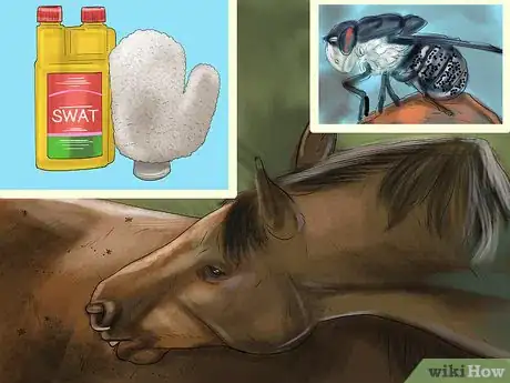 Image titled Prevent Parasites in Horses Step 2