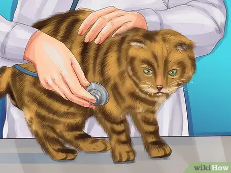 Image titled Treat Behavior Problems in Older Cats Step 13