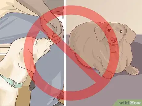 Image titled Treat Cardiac Disease in Older Dogs Step 12