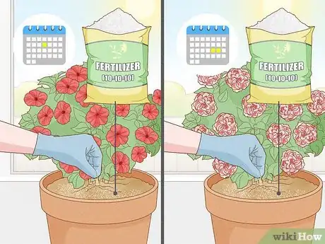 Image titled Keep Petunias Blooming All Summer Step 3