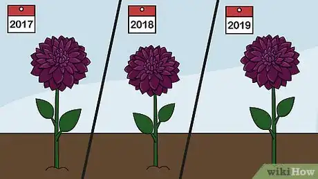 Image titled Plant Flower Bulbs Step 27