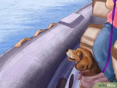 Image titled Keep Your Dog Safe on a Boat Ride Step 10