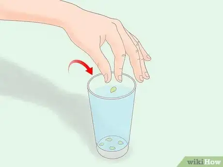 Image titled Plant a Lemon Seed Step 6