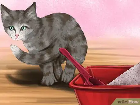 Image titled Understand Your Cat's Behavior Step 11