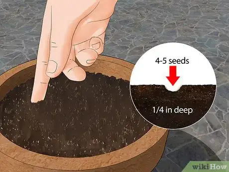 Image titled Grow Herbs in Pots Step 3