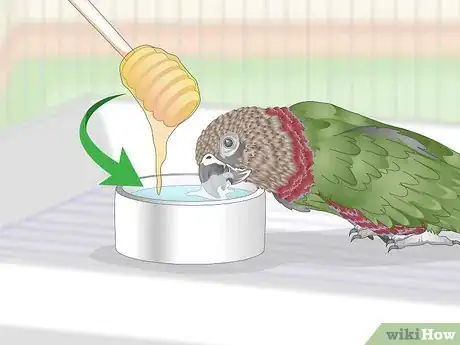 Image titled Treat Infections in Hawk Headed Parrots Step 13