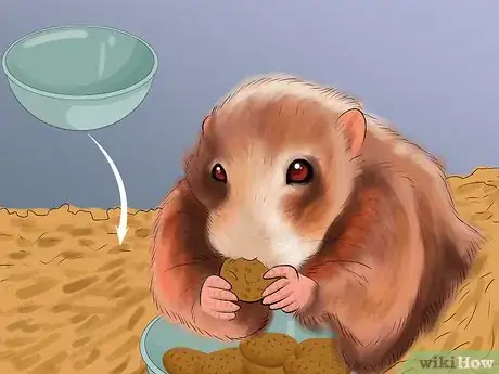 Image titled Care for a Hamster on a Small Budget Step 6