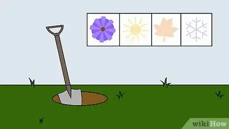 Image titled Grow Calla Lilies Step 10