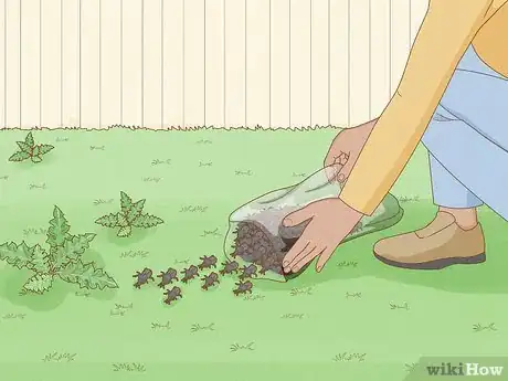 Image titled Get Rid of Canadian Thistles Step 9