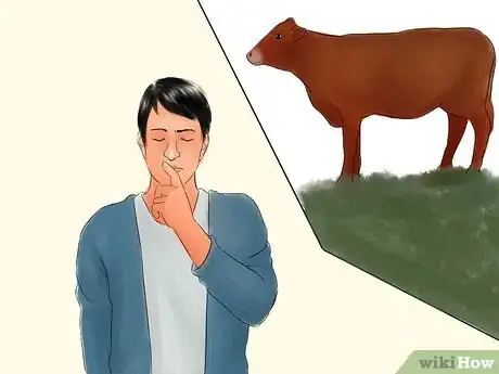 Image titled Identify Brown Swiss Cattle Step 3