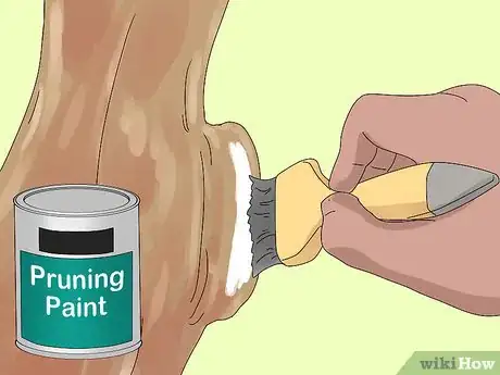 Image titled Prune a Mango Tree Step 13