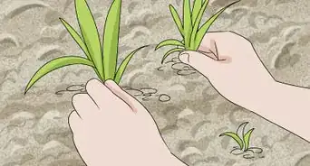 Make a Gravel Garden