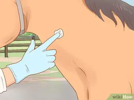 Image titled Draw a Horse's Blood Step 11