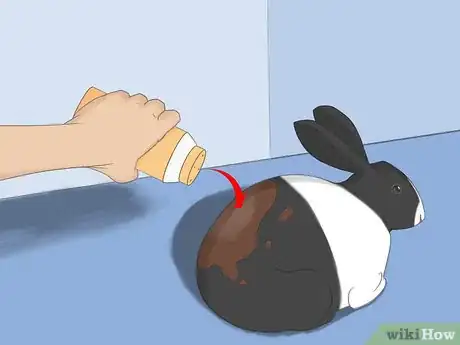 Image titled Bathe Your Pet Rabbit Step 2
