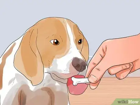 Image titled Have Fun Giving Your Dog a Flea Bath Step 2