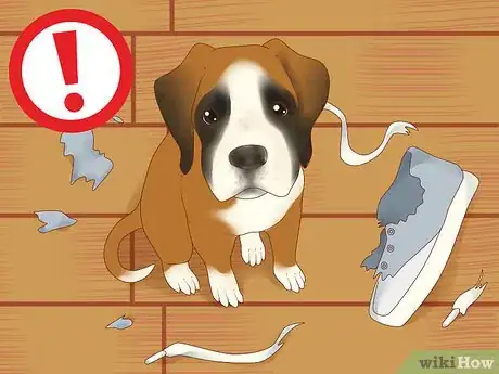 Image titled Treat Depression in Dogs Step 10