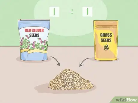 Image titled Grow Red Clover Step 4