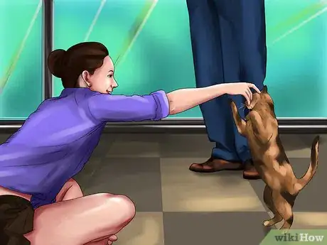 Image titled Get a Cat Sitter when You Leave Town Step 7