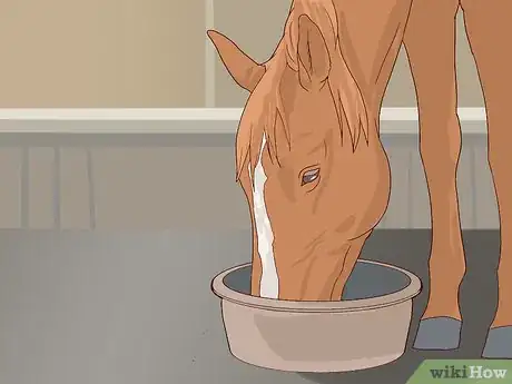 Image titled Walk a Colicking Horse Step 13