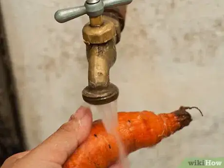 Image titled Make Vegetable Powders Step 1