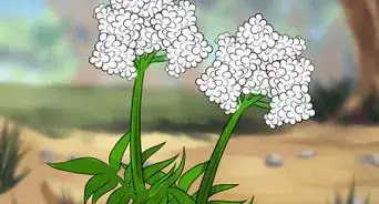 Diagnose and Treat Crohn's Disease