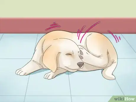 Image titled Treat Seasonal Allergies in Dogs (Home Remedies) Step 8