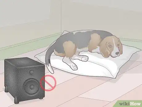 Image titled Treat Vestibular Disease in Dogs Step 18