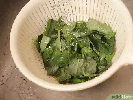 Image titled Freeze Basil Step 2