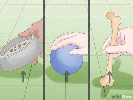 Image titled Prevent Dog Fights Step 5