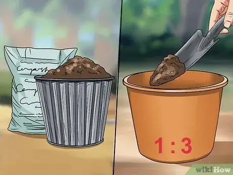 Image titled Plant Step 26