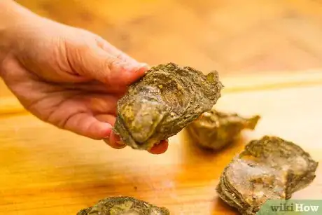 Image titled Open Oysters With Heat Step 1