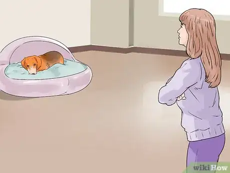 Image titled Bond with a Shy Dog Step 1